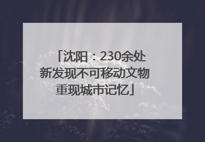 沈阳：230余处新发现不可移动文物重现城市记忆