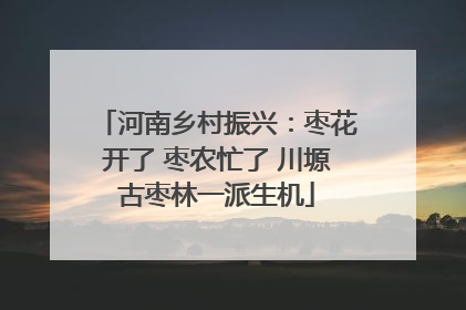 河南乡村振兴：枣花开了 枣农忙了 川塬古枣林一派生机