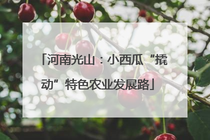 河南光山：小西瓜“撬动”特色农业发展路