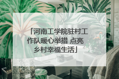 河南工学院驻村工作队暖心举措 点亮乡村幸福生活