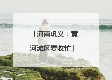 河南巩义：黄河滩区麦收忙
