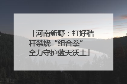 河南新野：打好秸秆禁烧“组合拳” 全力守护蓝天沃土