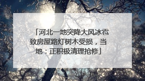河北一地突降大风冰雹致房屋路灯树木受损，当地：正积极清理抢修