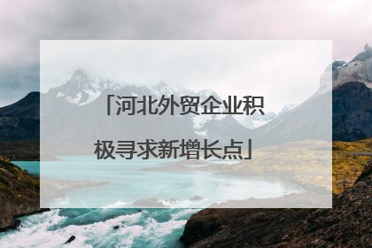 河北外贸企业积极寻求新增长点