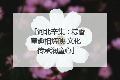 河北辛集：粽香童趣相辉映 文化传承润童心