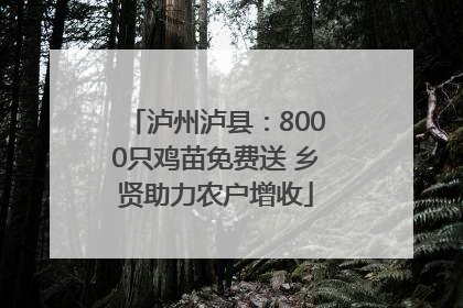 泸州泸县：8000只鸡苗免费送 乡贤助力农户增收