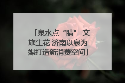 泉水点“睛” 文旅生花 济南以泉为媒打造新消费空间