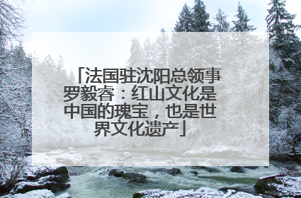 法国驻沈阳总领事罗毅睿：红山文化是中国的瑰宝，也是世界文化遗产