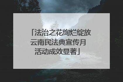 法治之花绚烂绽放 云南民法典宣传月活动成效显著