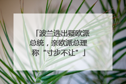 波兰选出疑欧派总统，亲欧派总理称“寸步不让”