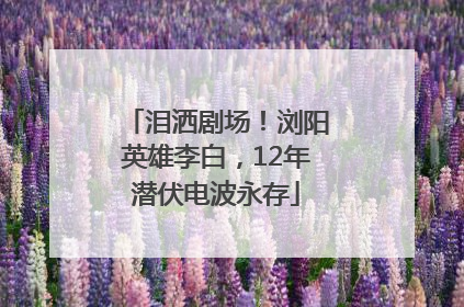 泪洒剧场！浏阳英雄李白，12年潜伏电波永存