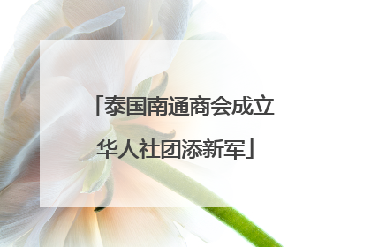 泰国南通商会成立 华人社团添新军