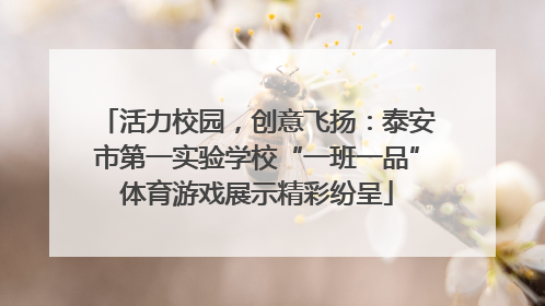 活力校园，创意飞扬：泰安市第一实验学校“一班一品”体育游戏展示精彩纷呈