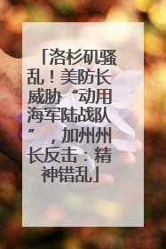 洛杉矶骚乱！美防长威胁“动用海军陆战队”，加州州长反击：精神错乱