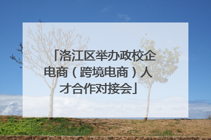 洛江区举办政校企电商（跨境电商）人才合作对接会