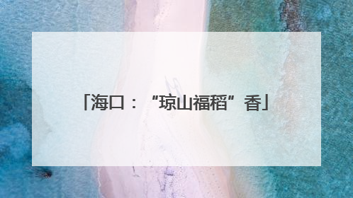 海口：“琼山福稻”香