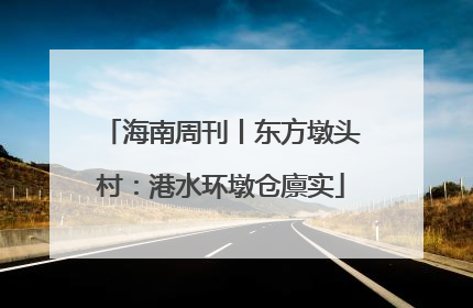 海南周刊丨东方墩头村：港水环墩仓廪实
