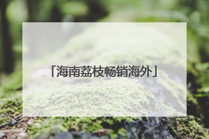 海南荔枝畅销海外