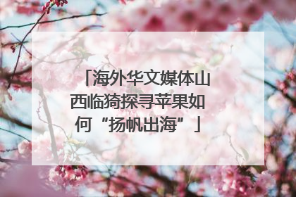 海外华文媒体山西临猗探寻苹果如何“扬帆出海”