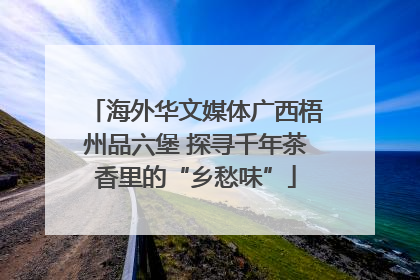 海外华文媒体广西梧州品六堡 探寻千年茶香里的“乡愁味”