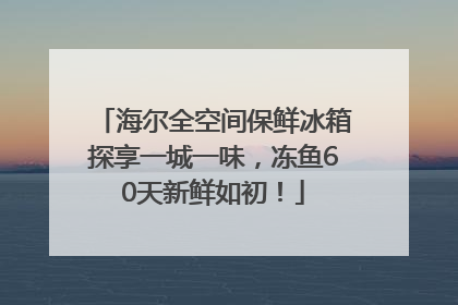 海尔全空间保鲜冰箱探享一城一味，冻鱼60天新鲜如初！