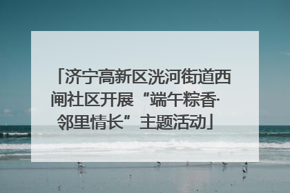 济宁高新区洸河街道西闸社区开展“端午粽香·邻里情长”主题活动