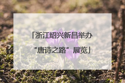 浙江绍兴新昌举办“唐诗之路”展览