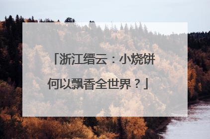 浙江缙云：小烧饼何以飘香全世界？