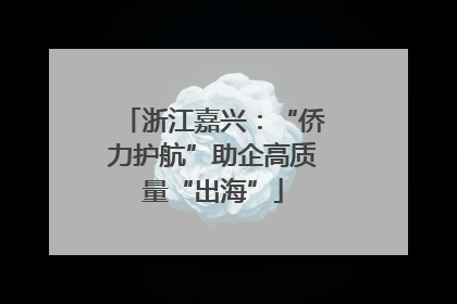 浙江嘉兴：“侨力护航”助企高质量“出海”