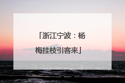 浙江宁波：杨梅挂枝引客来