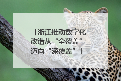 浙江推动数字化改造从“全覆盖”迈向“深覆盖”
