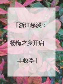 浙江慈溪：杨梅之乡开启丰收季