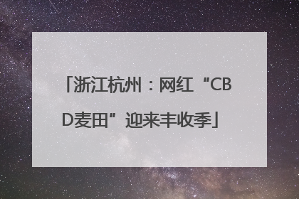浙江杭州：网红“CBD麦田”迎来丰收季