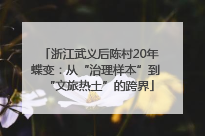 浙江武义后陈村20年蝶变：从“治理样本”到“文旅热土”的跨界