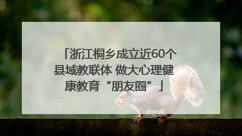 浙江桐乡成立近60个县域教联体 做大心理健康教育“朋友圈”