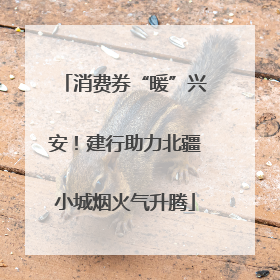 消费券“暖”兴安！建行助力北疆小城烟火气升腾