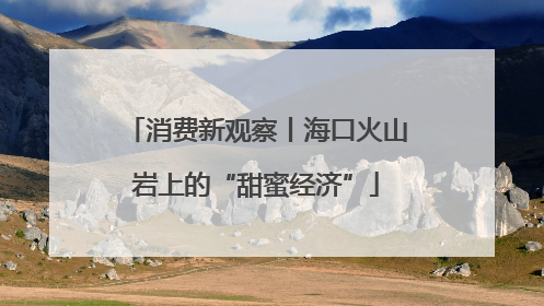 消费新观察丨海口火山岩上的“甜蜜经济”