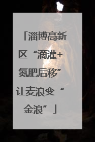 淄博高新区“滴灌+氮肥后移”让麦浪变“金浪”