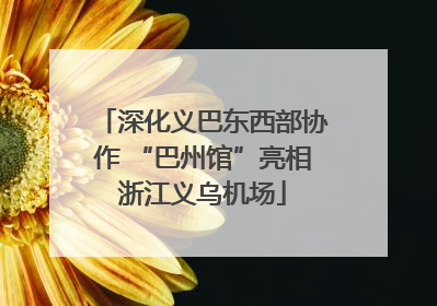 深化义巴东西部协作 “巴州馆”亮相浙江义乌机场