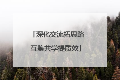 深化交流拓思路 互鉴共学提质效
