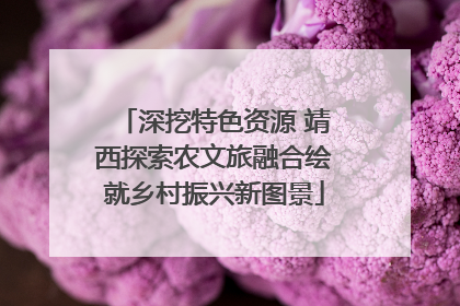 深挖特色资源 靖西探索农文旅融合绘就乡村振兴新图景