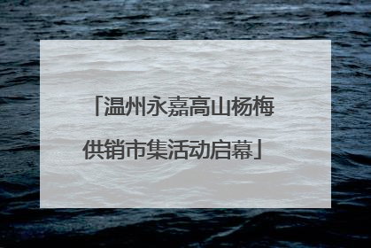 温州永嘉高山杨梅供销市集活动启幕