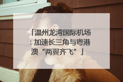 温州龙湾国际机场：加速长三角与粤港澳“两翼齐飞”