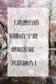 港澳台侨同胞在宁夏感知发展 共叙融合