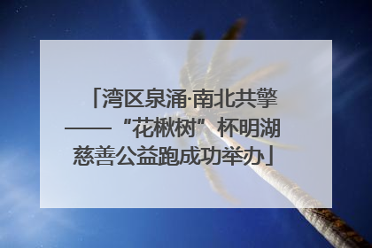 湾区泉涌·南北共擎——“花楸树”杯明湖慈善公益跑成功举办