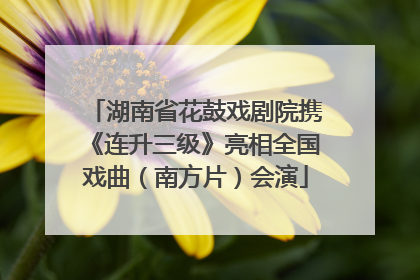 湖南省花鼓戏剧院携《连升三级》亮相全国戏曲（南方片）会演