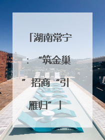 湖南常宁：“筑金巢”招商“引雁归”