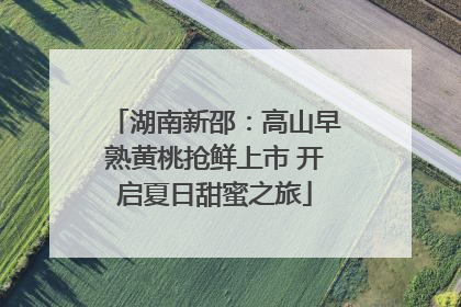 湖南新邵：高山早熟黄桃抢鲜上市 开启夏日甜蜜之旅