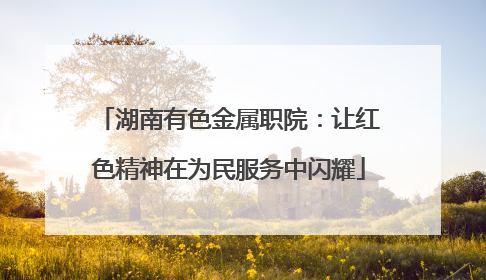 湖南有色金属职院：让红色精神在为民服务中闪耀