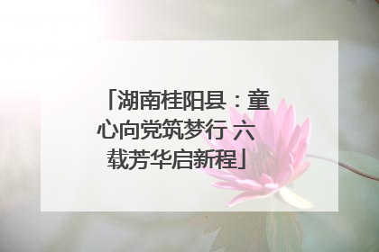 湖南桂阳县：童心向党筑梦行 六载芳华启新程